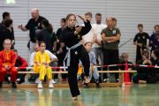 Kung_Fu_Berlin_Dragon_Cup_2024-08