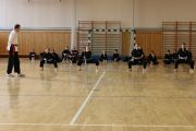 Fauststoesse_01_Kung_Fu