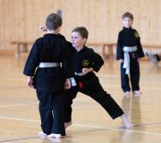 Kung_Fu_Pruefungen_Juni_2018-1885