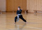 Kung_Fu_Pruefungen_Juni_2018-1993