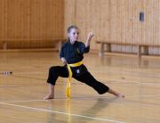 Kung_Fu_Pruefungen_Juni_2018-2566
