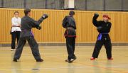 img_1746