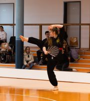 Kung_Fu_Nordsterncup_2025-25
