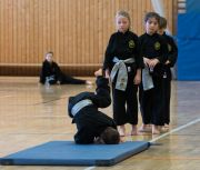 Kung_Fu_Pruefung_Dez_2016-1010