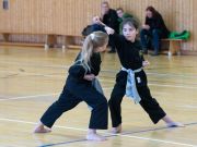 Kung_Fu_Pruefung_Dez_2016-1028