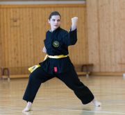 Kung_Fu_Pruefung_Dez_2016-1101