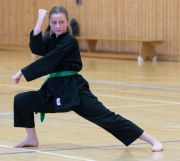 Kung_Fu_Pruefung_Dez_2016-2096