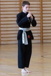 Pruefung_Juni_2017_Kung_Fu-3199