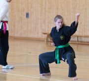 Pruefung_Juni_2017_Kung_Fu-3445