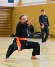 Kung_Fu_Prüfung_2015_regulär-4531
