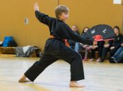 Kung_Fu_Prüfung_2015_regulär-4559