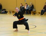 Kung_Fu_Prüfung_2015_regulär-4619