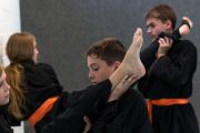 Sellin_Kung_Fu_TL-1659