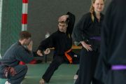 Sellin_Kung_Fu_TL-1695