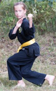 Sellin_Kung_Fu_TL-1985