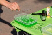 Sommerfest_2015-2567