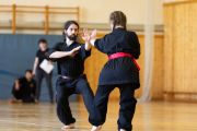 Sommerfest_2025_Kung_Fu_Berlin-24