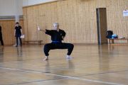 Sommerfest_2025_Kung_Fu_Berlin-26