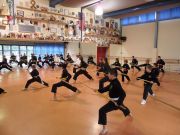 KungFu_TL2011_Form