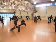 KungFu_TL2011_Training