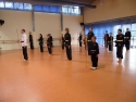 KungFu_TL2011_Form