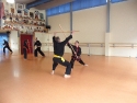 KungFu_TL2011_Partneruebung