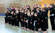 schueler-des-kunstkamfsport-club