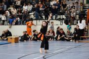 XIN-NIAN-CUP-Kung-Fu-2026-97