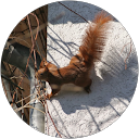 Lene G profile picture